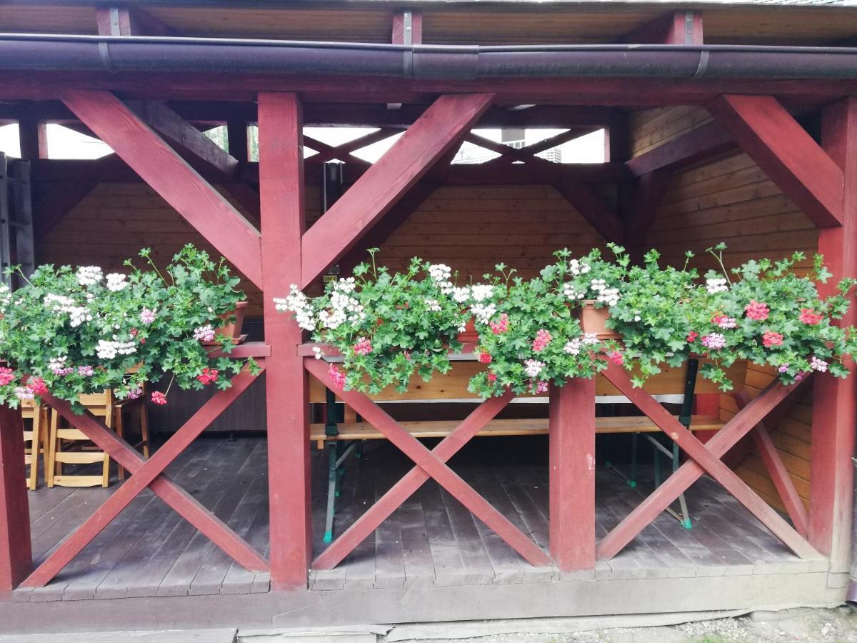 Apartament Roza Brašov Exteriér fotografie