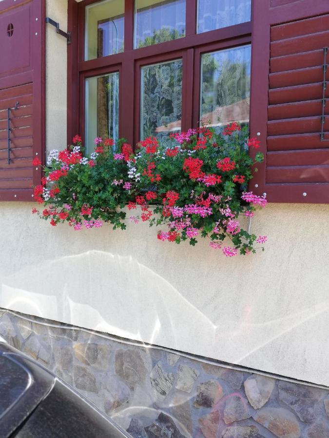 Apartament Roza Brašov Exteriér fotografie