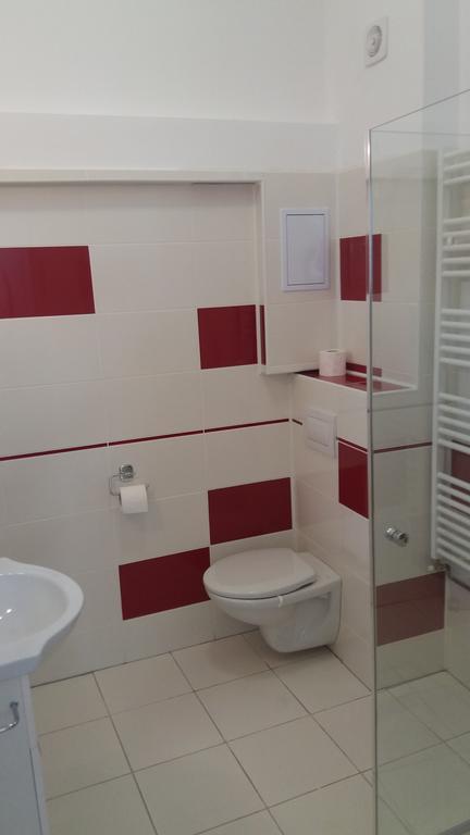 Apartament Roza Brašov Exteriér fotografie