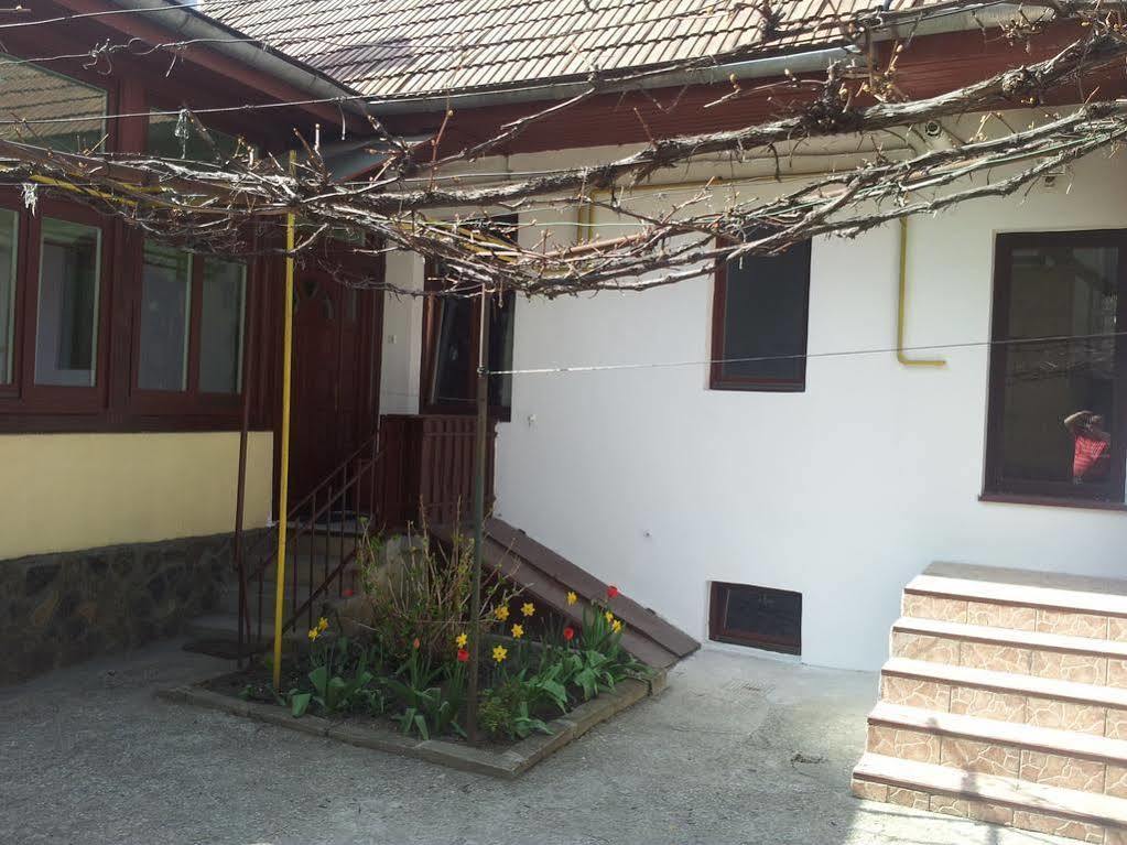 Apartament Roza Brašov Exteriér fotografie